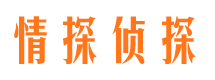 陆丰市私家侦探公司